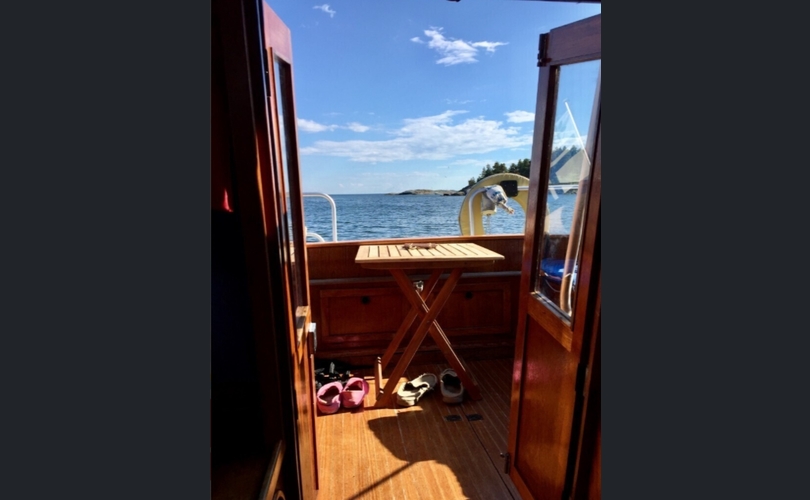 Delphin Arcus 860-kuva-2